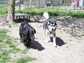 afb_20160506 (126)